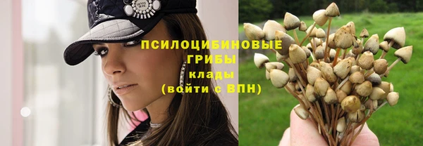 хмурый Лиски