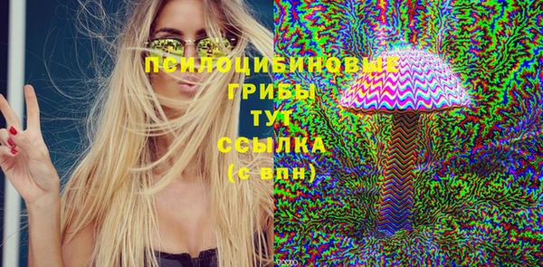 спайс Лагань