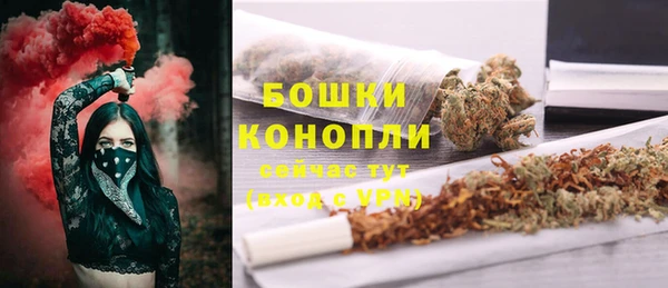 спайс Лагань