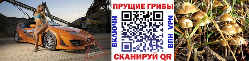 Псилоцибиновые грибы прущие грибы  Купить где  Салаир 